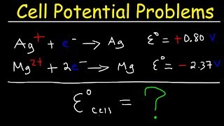 Cell Potential Problems  Electrochemistry [upl. by Vardon941]