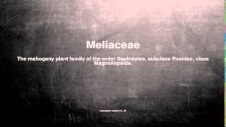 Medical vocabulary What does Meliaceae mean [upl. by Seldun]