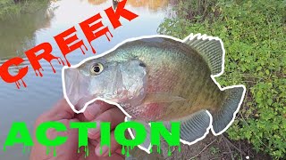 Catching crappies in the creeks before the fall of October 2024 [upl. by Servais]