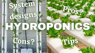 What Is Hydroponics And How Does It Work [upl. by Kial968]