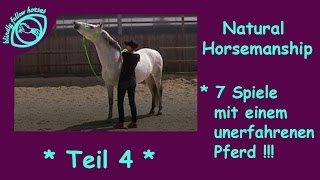 7 Spiele nach Parelli mit einem unerfahrenen Pferd  Natural Horsemanship Reihe  Teil 4 [upl. by Ollehcram730]