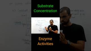 Enzymes Substrate Concentration shorts shortsvideo neet biologyclass11 genusofbiology [upl. by Vikky459]