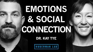 Dr Kay Tye The Biology of Social Interactions and Emotions [upl. by Htebizile]