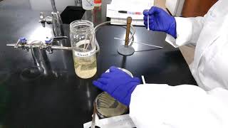 Oxidase Test Procedure [upl. by Mailliw]