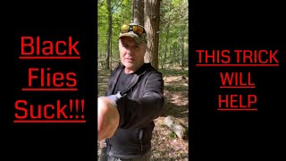 Black Flies Want Your Blood  How To Avoid Them While Hiking [upl. by Oicnedurp]