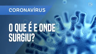 COVID19 O QUE É O CORONAVÍRUS E COMO ELE SURGIU  SCHWARZA [upl. by Amis]