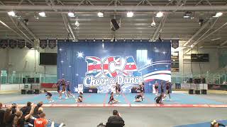 Arrows Elite Cheerleading HOT SHOTS Youth Level 1 BCA Summer Showdown 2019 [upl. by Ramedlaw387]