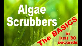 Algae Scrubber basics in 30 seconds [upl. by Arim]