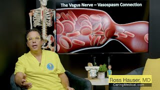 The Vagus Nerve  Vasospasm Connection presentation by Ross Hauser MD [upl. by Lassiter442]