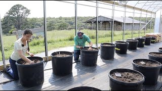 Were All Set Up and Ready to Plant Our NEW GREENHOUSE [upl. by Fitzsimmons]