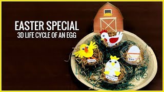 Easter Special  How To Make 3D Life Cycle Of An Egg [upl. by Carolin]