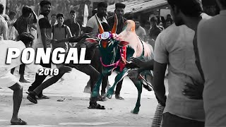 PONGAL 2019  Cinematic Video  Valluvarpuram  Tamil Nadu  John Kozmos [upl. by Jillane]