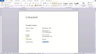 Einfacher tabellarischer Lebenslauf in Word [upl. by Hpesoy]