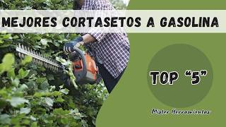 Selección los 5 mejores cortasetos gasolina calidad precio 🌿 Las mejores ideas para podar tus setos [upl. by Andromada269]