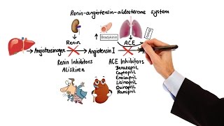 Pharmacology  HYPERTENSION amp ANTIHYPERTENSIVES MADE EASY [upl. by Aguste160]