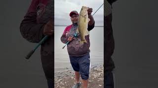 Tips and tricks for unhooking a gut hooked fish fishing fishingfanatics [upl. by Kora]