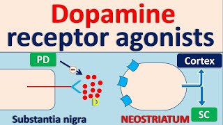 Dopamine receptor agonists for Parkinson Disease PD [upl. by Nenad]