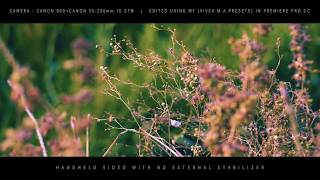 CANON 80D Cinematography  Flat Profile Color Graded Using My LUTsPresets [upl. by Rehptsirhc]