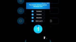 The human nervous system develops from biology brain [upl. by Allesig]