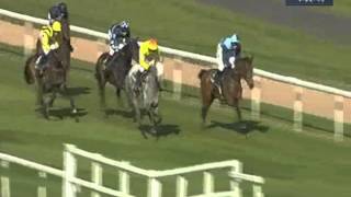 2012 Aintree  Betfred Manifesto Novices Chase  Menorah [upl. by Ahtebbat]