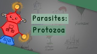 Parasites Protozoa classification structure life cycle [upl. by Ruford]