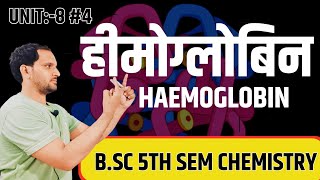 Haemoglobin  Structure of Haemoglobin bsc 3rd year  bsc 5th semester chemistry [upl. by Amees]