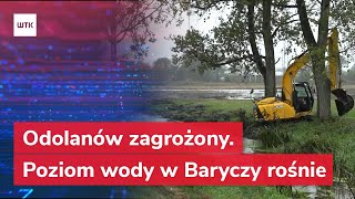 Odolanów zagrożony Poziom wody w Baryczy wciąż rośnie [upl. by Fritts525]