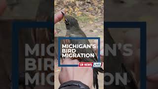 Michigans Bird Migration [upl. by Yelich199]