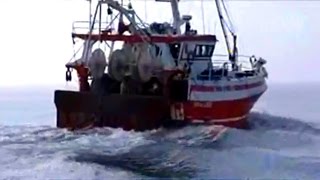 Ouverture Pêche Moule de Barfleur [upl. by Renell]