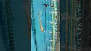 시월의어느멋진날에 수영 finswimming 연습만이살길 2 [upl. by Lzeil]