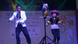 Axtell new Macaw puppet dancing to mambo italiano [upl. by Hanna159]