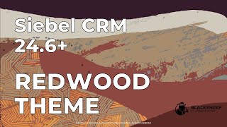 Siebel CRM 246 Redwood Theme  First Look [upl. by Hanae]