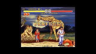 【TAS】ファイターズヒストリーダイナマイト 【溝口、リョウコ】Fighters history dynamite 【MizoguchiRyoko】 [upl. by Erdnassak630]