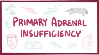 Primary adrenal insufficiency Addisons disease  pathology symptoms diagnosis treatment [upl. by Rubel]