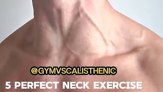 Neck Workout  Try This 5 Best Exercise Now 🚨 [upl. by Assedo415]