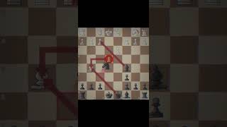 Petrovdefense Stafford gambit TRAP chessgame chess chessforall fyp fypシ゚viral shorts [upl. by Kalam555]