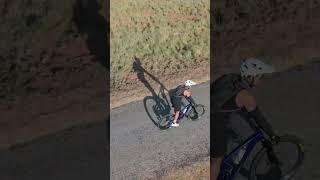 MTB views  cyclingsa trailseeker mtbshorts shorts bikeshorts drone shortsfeed [upl. by Enneite529]