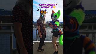 HBD WEIRD0 💜💛 furry fursuit fur furries cosplay costume fursuiters fursona fursuiting cat [upl. by Haswell]