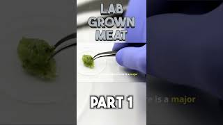 Lab Grown Meat part 1 shorts [upl. by Kimbell]