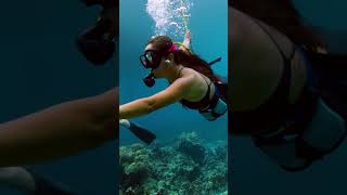 Dive into a whole new world with SNUBA on our Morning Kealakekua Snorkel Tour kona snorkeling [upl. by Eek]