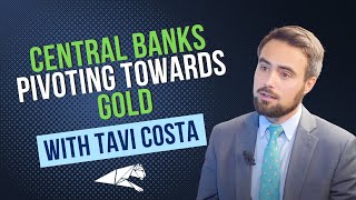 Central Banks Pivoting Towards Gold Tavi Costa [upl. by Ardnalahs]