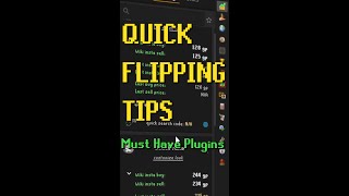 Must Have Flipping Plugins for RuneLite [upl. by Gill605]