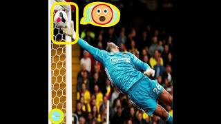 Impossible Goal Saves In Football🤯🤩🔥Impossible Saves In Football🔥shortsytshortsshort TheTop5 [upl. by Eecats]