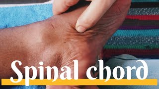 Reflexology for Spinal problemsSokushindo 🦶 [upl. by Llorrad136]