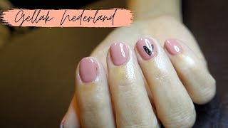 NAGEL STICKERS PERFECT AANBRENGEN  Gellak Nederland  DIY nail art met gellak [upl. by Rodrick668]