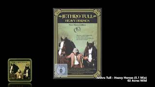 Jethro Tull  02 Acres Wild 51 Mix [upl. by Dimphia]