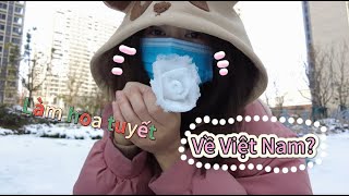 8 Làm hoa tuyết amp về Việt Nam  Vlog nói tiếng Trung  Tiểu Sên  Cuộc sống ở Trung Quốc [upl. by Lerrej]