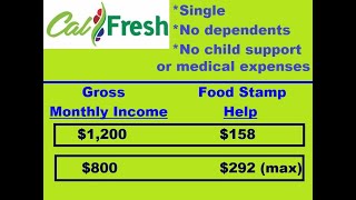 CalFresh  How Much Food Stamp Help  Single No Dependents 2024 [upl. by Haelhsa]