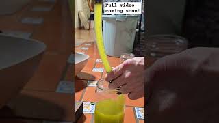 Making Olive Oil Separating the Oil and Water [upl. by Atinauj]