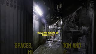 Inside Kowloon Walled City The Worlds Most Notorious Vertical Slum [upl. by Aynwad]